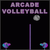 Arcade Volleyball (PC cover