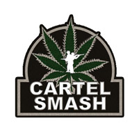 Cartel Smash (PC cover