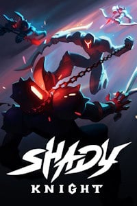 Shady Knight (PC cover