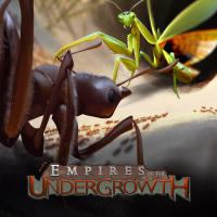 Empires of the Undergrowth (PC cover
