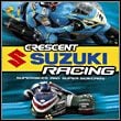 Crescent Suzuki Racing: Superbikes And Super Sidecars