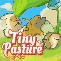 Tiny Pasture