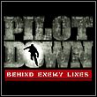 Pilot Down: Behind Enemy Lines