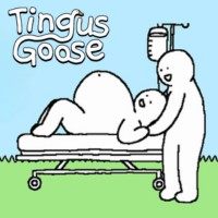 Tingus Goose