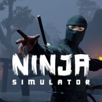 Ninja Simulator