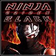 Ninja Gaiden Black