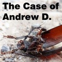 The Case of Andrew D.
