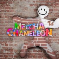 Meccha Chameleon