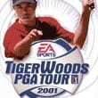 Tiger Woods PGA Tour 2001