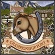 Championship Pony