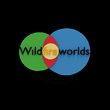 Wildfire Worlds