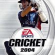 Cricket 2004