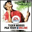 Tiger Woods PGA Tour Online