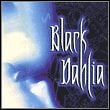 Black Dahlia