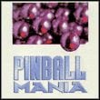 Pinball Mania