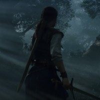 Fable: Order of the Hero