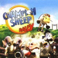 Champion Sheep Rally