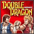 Double Dragon Advance (GBA)