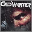 Cold Winter (PS2)