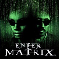 Enter The Matrix