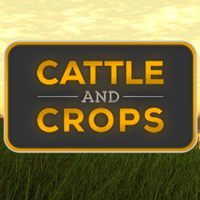 Professional Farmer: Cattle and Crops