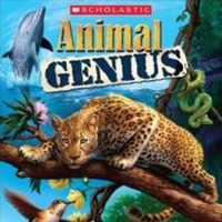 Animal Genius