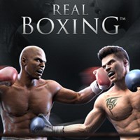 Real Boxing