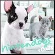 Nintendogs + Cats: French Bulldog & New Friends