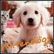 Nintendogs + Cats: Golden Retriever & New Friends