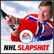 NHL Slapshot