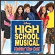 High School Musical: Makin' the Cut!