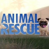 Animal Rescue