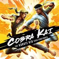 Cobra Kai: The Karate Kid Saga Continues