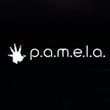 P.A.M.E.L.A.