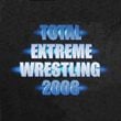 Total Extreme Wrestling 2008