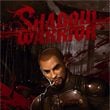 Shadow Warrior