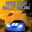 Rush Rush Rally Racing (Wii)