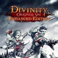 Divinity: Original Sin II - Definitive Edition