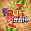 Fruit Ninja