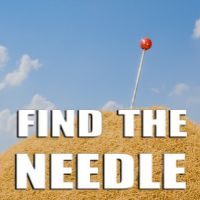 Find The Needle