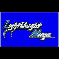 Lightweight Ninja (PC cover
