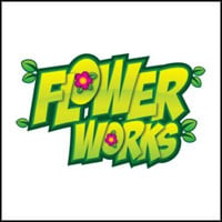 Flowerworks: Follie's Adventure (Wii cover