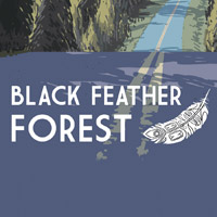 Okładka Black Feather Forest (PC)