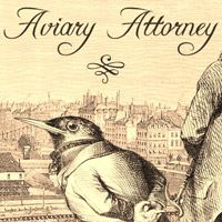 Okładka Aviary Attorney (PC)
