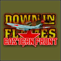 Okładka Down in Flames: Eastern Front (PC)