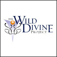 OkładkaThe Journey to Wild Divine (PC)