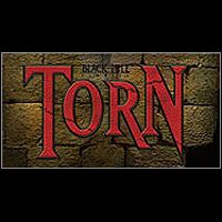 Torn (2001) (PC cover