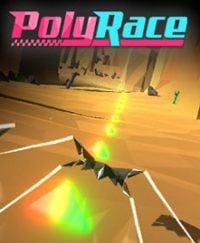 PolyRace (PC cover