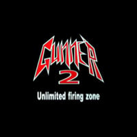 Gunner 2 (PC cover