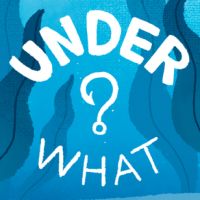 Under What? (PC cover